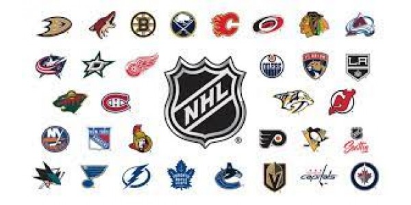 Traditions de combat au hockey sur glace Traditions de combat au hockey sur glace